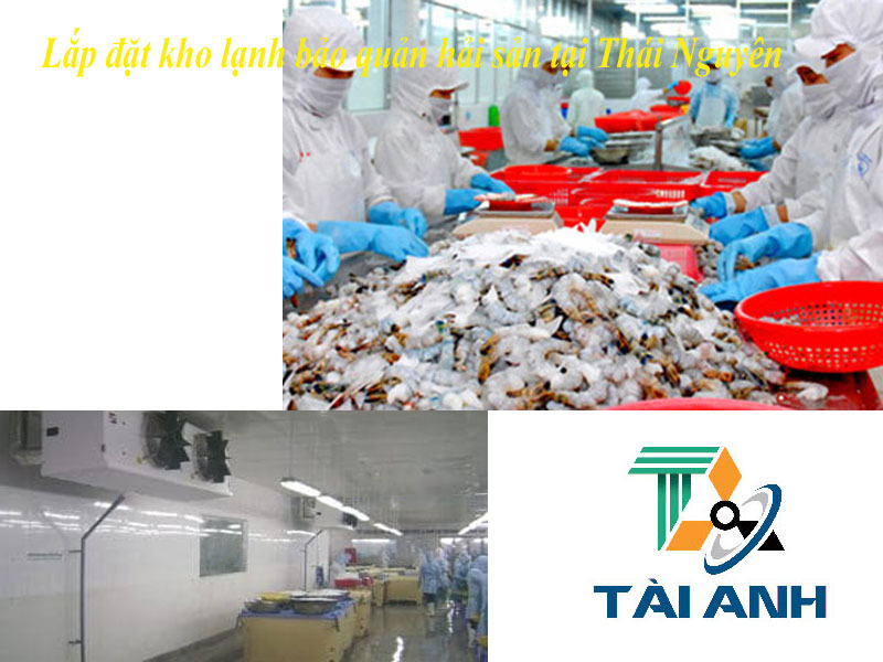 Lắp đặt kho lạnh bảo quản thủy hải sản tại Thái Nguyên