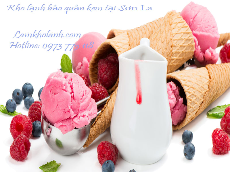 Lắp đặt kho lạnh bảo quản kem tại Sơn La