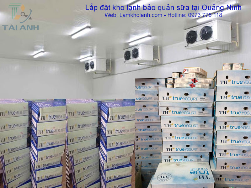 Lắp đặt kho lạnh bảo quản sữa tại Quảng Ninh