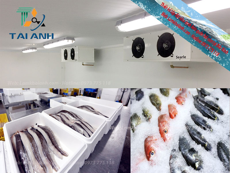 Thiết kế lắp đặt kho lạnh hải sản tại Bắc Ninh