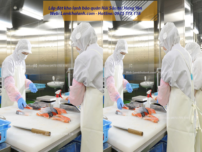 Lắp đặt kho lạnh bảo quản hải sản tại Hưng Yên
