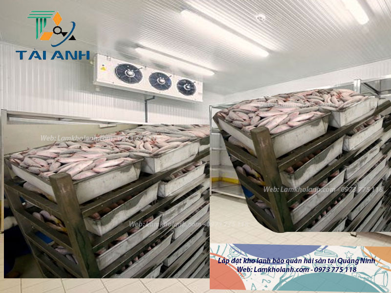 Thiết kế & Lắp đặt kho lạnh bảo quản hải sản tại Quảng Ninh