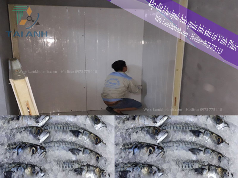 Lắp đặt kho lạnh bảo quản hải sản tại Vĩnh Phúc