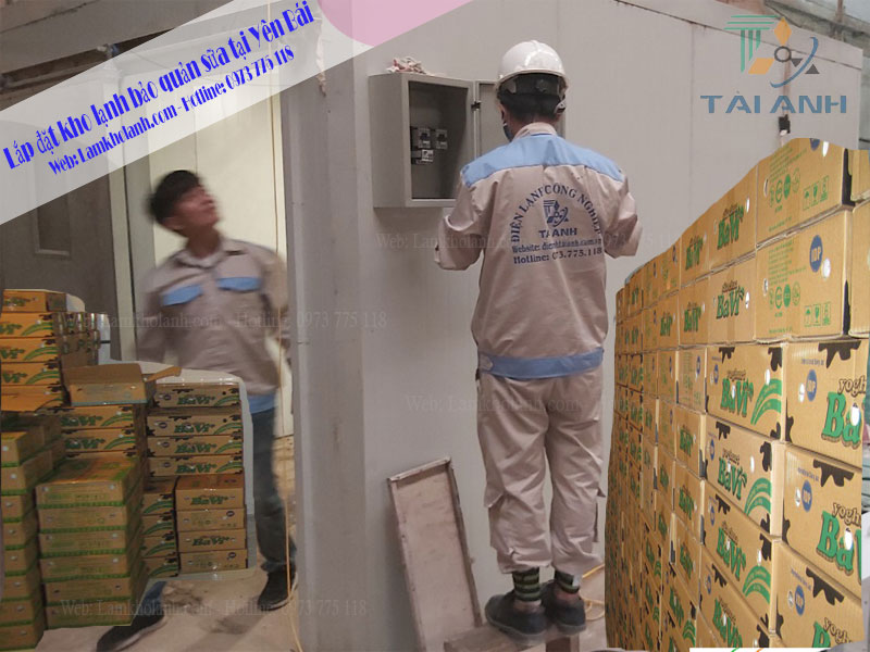 Lắp đặt kho lạnh bảo quản sữa tại Yên Bái