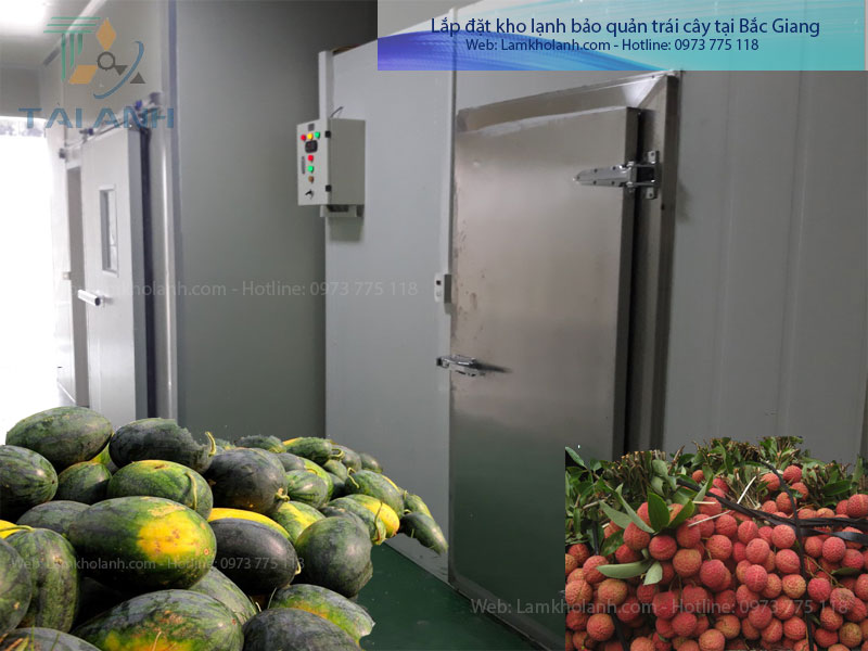 Lắp đặt kho lạnh bảo quản trái cây tại Bắc Giang