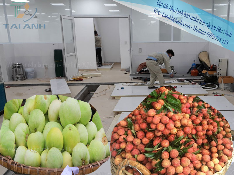 Lắp đặt kho lạnh bảo quản trái cây tại Bắc Ninh
