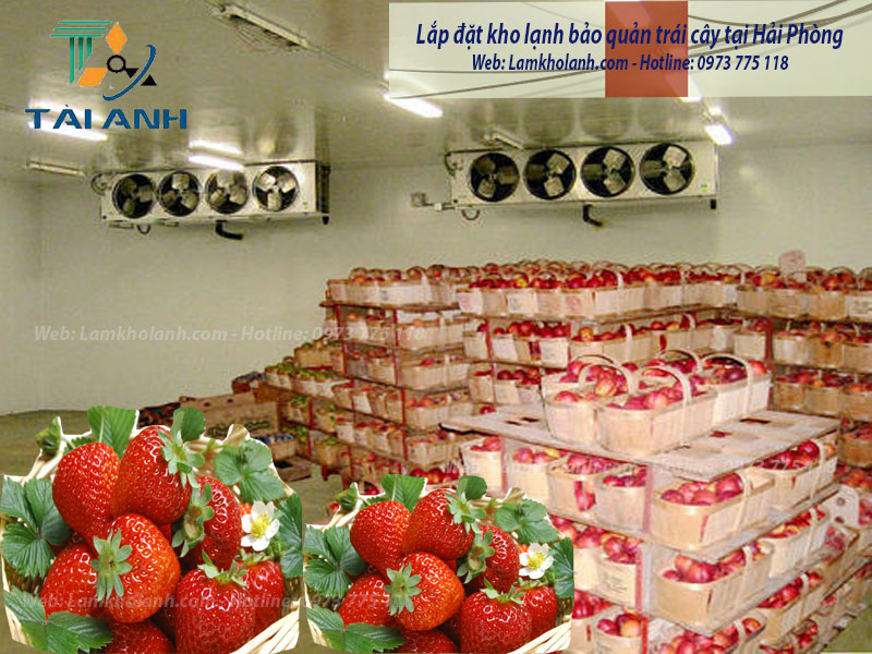 Lắp đặt kho lạnh bảo quản trái cây tại Hải Phòng