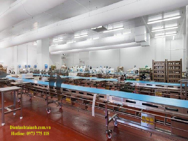 Thiết kế lắp đặt kho lạnh công nghiệp tại Quảng Nam