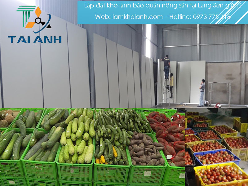 Thiết kế lắp đặt kho lạnh bảo quản nông sản uy tín tại Lạng Sơn