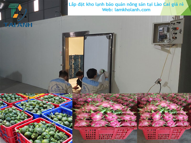 Thiết kế lắp đặt kho lạnh bảo quản nông sản uy tín tại Lào Cai