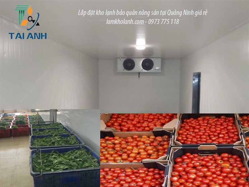 Lắp đặt kho lạnh bảo quản nông sản giá tốt nhất tại Quảng Ninh