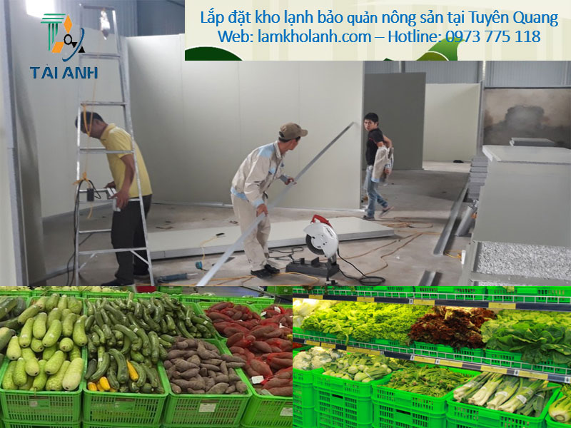 Lắp đặt kho lạnh bảo quản nông sản giá tốt nhất tại Tuyên Quang