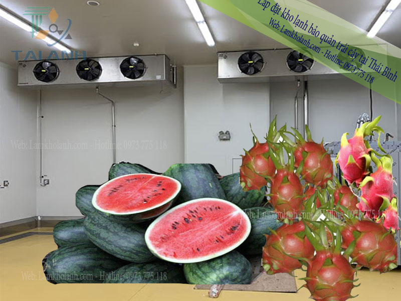 Lắp đặt kho lạnh bảo quản trái cây tại Thái Bình