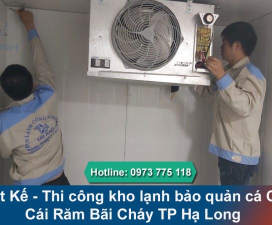 Thi công kho lạnh bảo quản cá Chợ Cái Răm Bãi Cháy TP Hạ Long