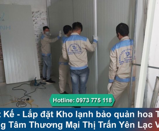 Lắp đặt Kho lạnh bảo quản hoa Tươi TTTM tại Yên Lạc Vĩnh Phúc