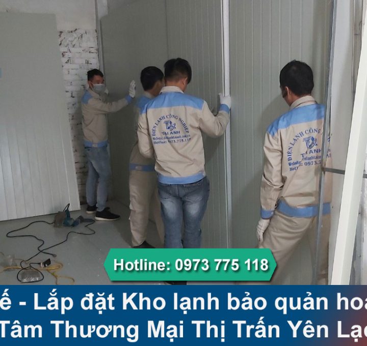 Lắp đặt Kho lạnh bảo quản hoa Tươi TTTM tại Yên Lạc Vĩnh Phúc