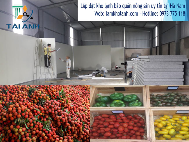 Chuyên Thiết kế & lắp đặt kho lạnh bảo quản nông sản tại Hà Nam