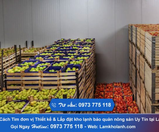 Tìm đơn vị lắp đặt kho lạnh bảo quản nông sản tại Lai Châu