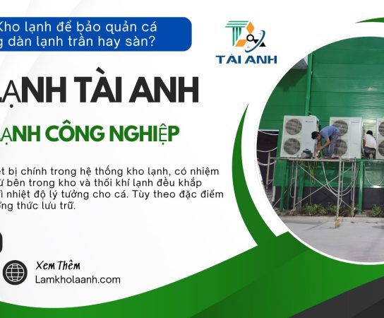 Lắp đặt Kho lạnh để bảo quản cá nên dùng dàn lạnh trần hay sàn?