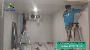 Chuyên thiết kế và Lắp đặt kho lạnh bảo quản trái cây tại Sơn La
