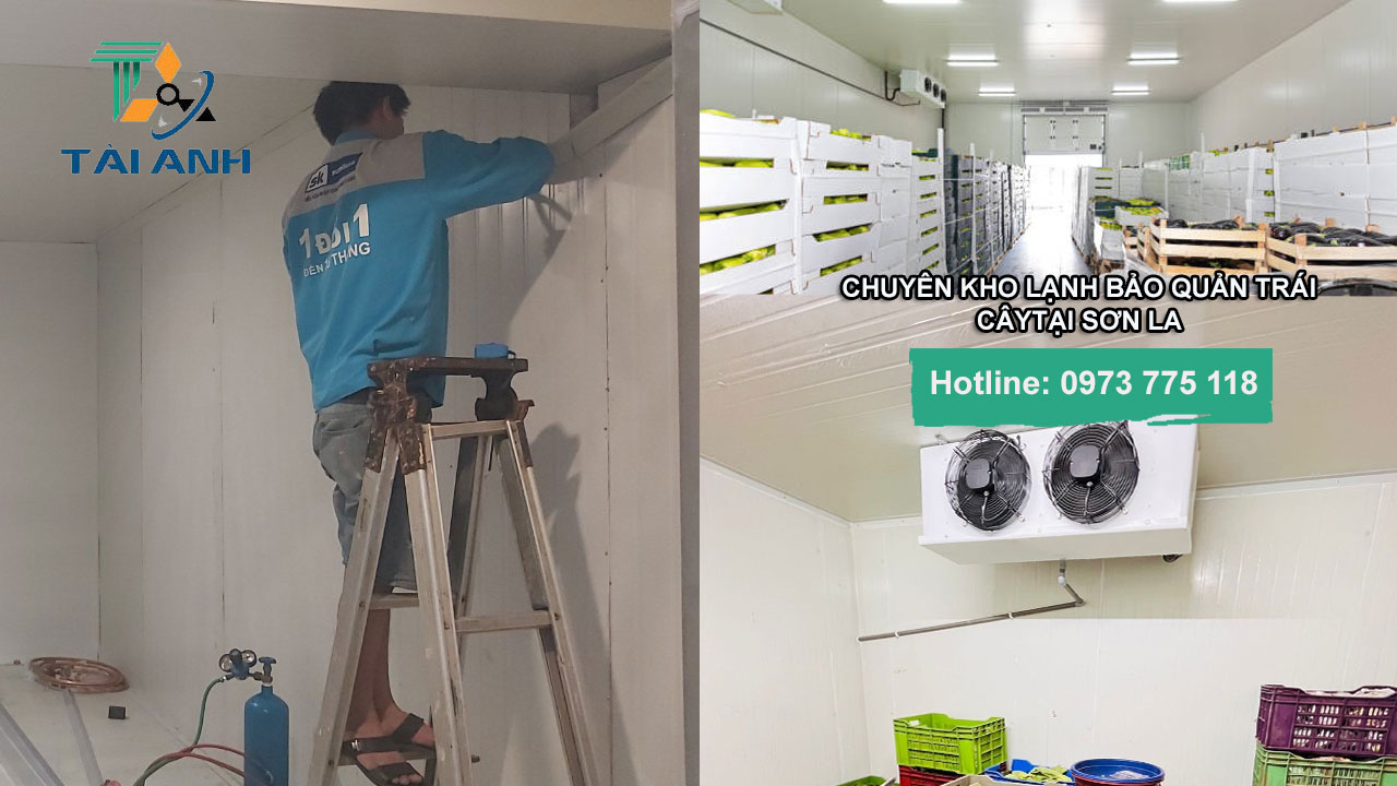 Chuyên thiết kế và Lắp đặt kho lạnh bảo quản trái cây tại Sơn La