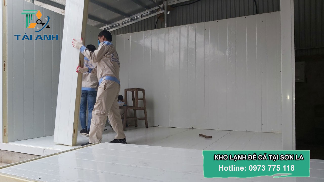 Chuyên cung cấp thiết bị & lắp đặt kho lạnh bảo quản cá tại Sơn La