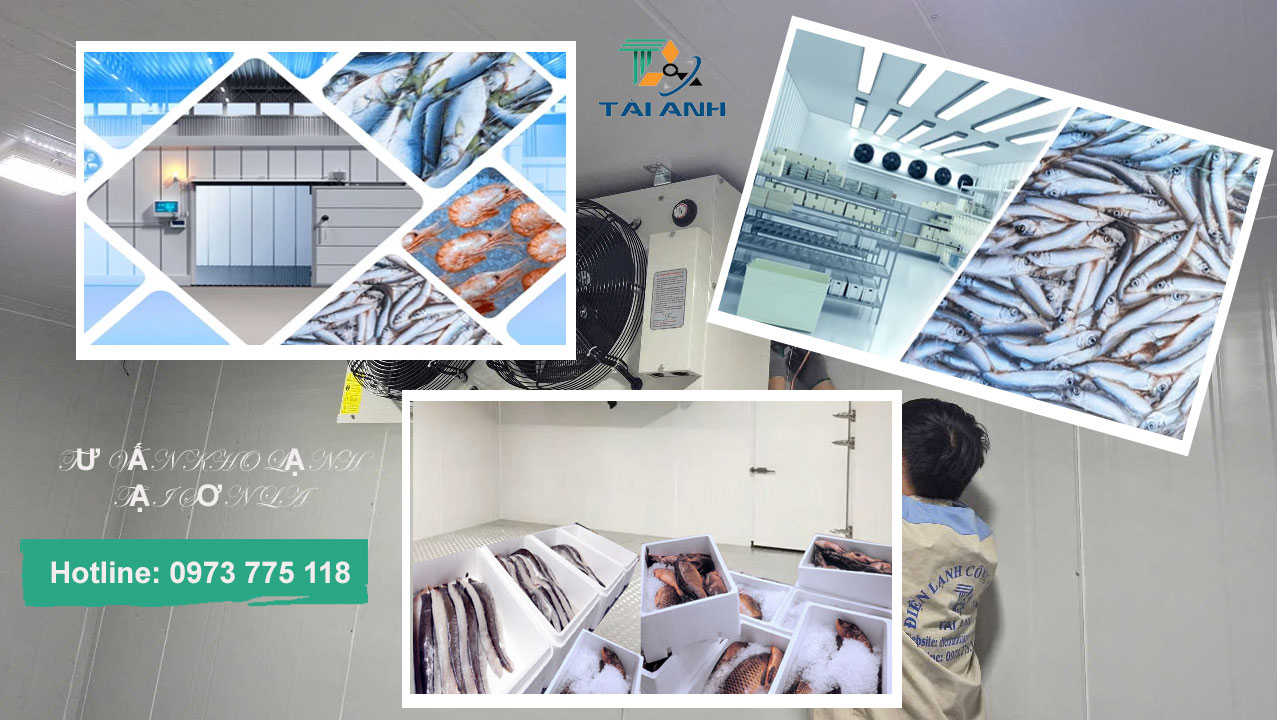 Chuyên cung cấp thiết bị & lắp đặt kho lạnh bảo quản cá tại Sơn La