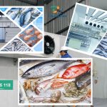 Thi công và lắp đặt kho cấp đông công nghiệp uy tín tại Hải Phòng