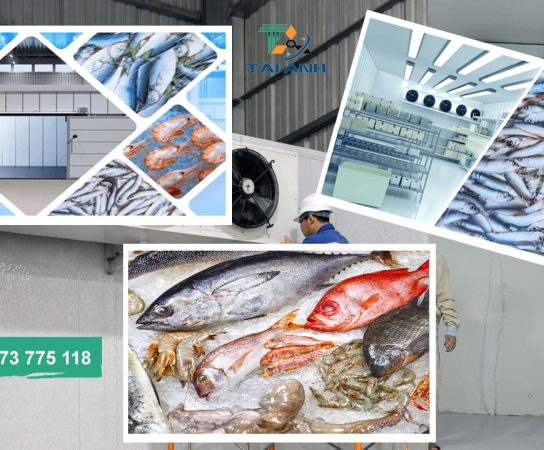 Thi công và lắp đặt kho cấp đông công nghiệp uy tín tại Hải Phòng