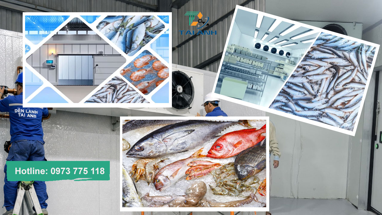 Thi công và lắp đặt kho cấp đông công nghiệp uy tín tại Hải Phòng