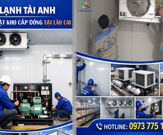 Lắp đặt kho cấp đông công nghiệp tại Lào Cai