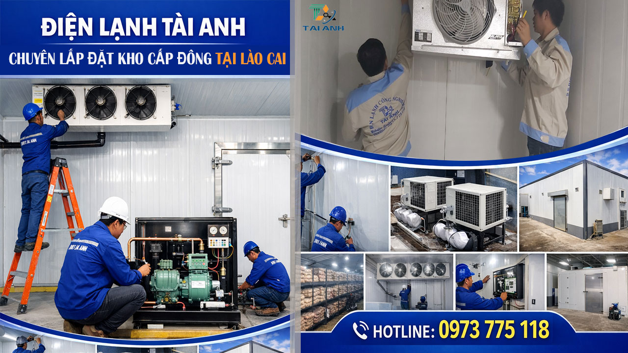 Lắp đặt kho cấp đông công nghiệp tại Lào Cai