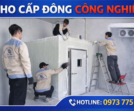 Lắp Đặt Kho Cấp Đông Công Nghiệp Tại Phú Thọ Uy Tín