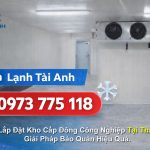 Lắp đặt kho cấp đông công nghiệp tại Thái Nguyên