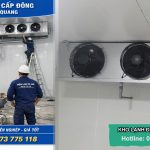 Thi công kho cấp đông công nghiệp tại Tuyên Quang