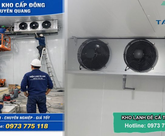 Thi công kho cấp đông công nghiệp tại Tuyên Quang