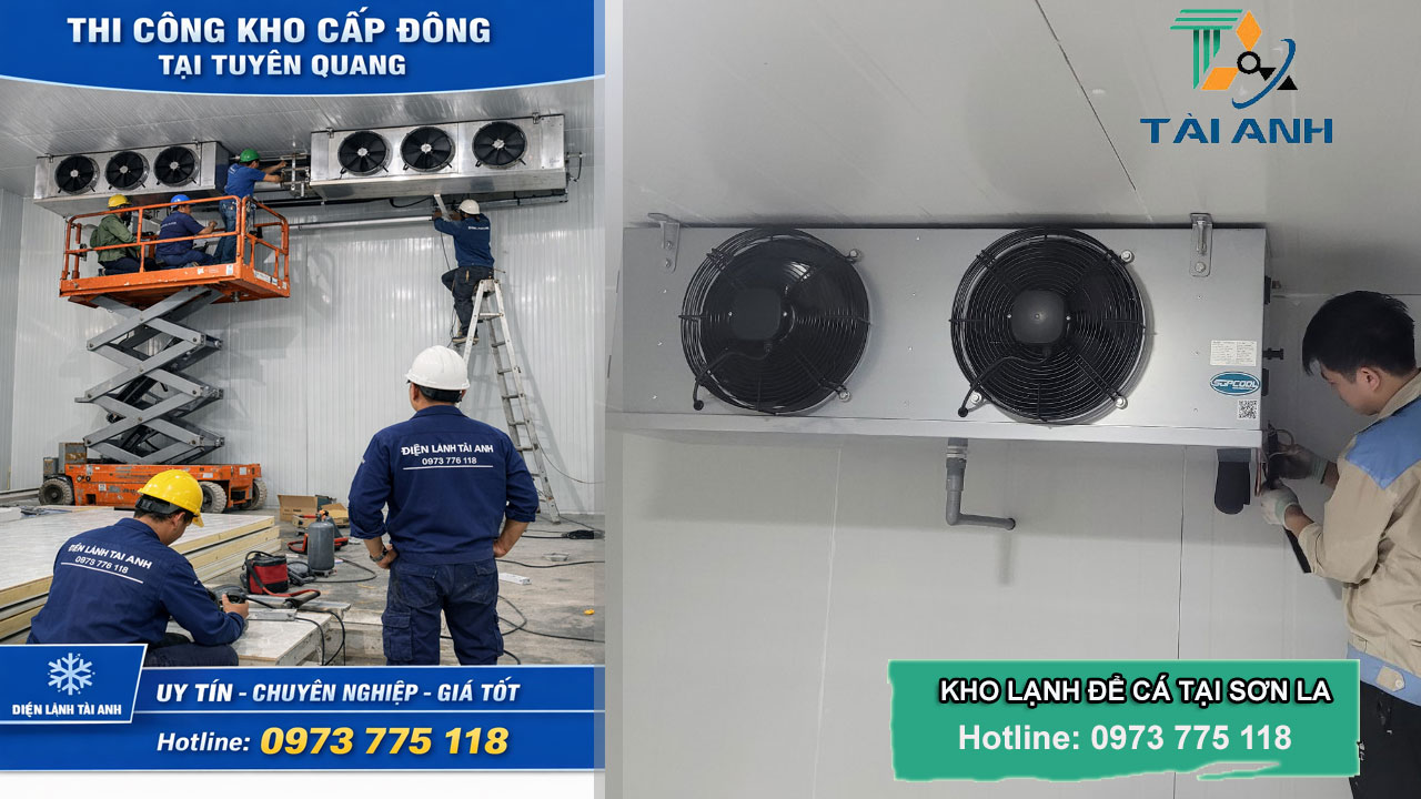 Thi công kho cấp đông công nghiệp tại Tuyên Quang