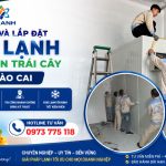 Thiết Kế Và Lắp Đặt Kho Lạnh Bảo Quản Trái Cây Tại Lào Cai