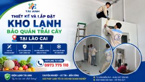 Thiết Kế Và Lắp Đặt Kho Lạnh Bảo Quản Trái Cây Tại Lào Cai