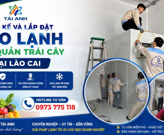 Thiết Kế Và Lắp Đặt Kho Lạnh Bảo Quản Trái Cây Tại Lào Cai