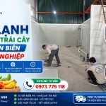 Lắp Đặt Kho Lạnh Bảo Quản Trái Cây Tại Điện Biên Chuyên Nghiệp