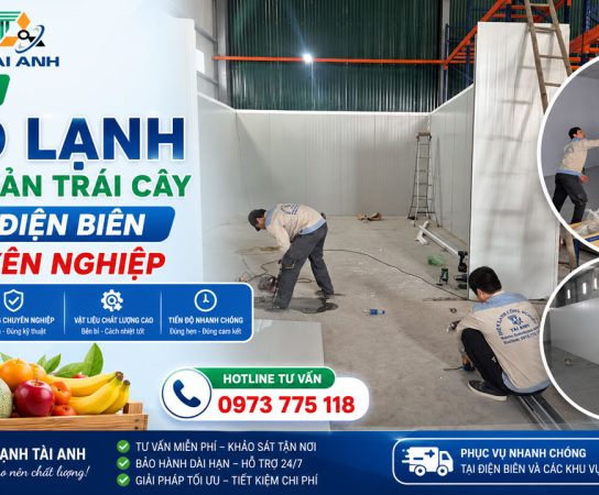 Lắp Đặt Kho Lạnh Bảo Quản Trái Cây Tại Điện Biên Chuyên Nghiệp