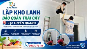 Lắp Kho Lạnh Bảo Quản Trái Cây Tại Tuyên Quang