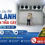 Lắp Đặt Kho Lạnh Bảo Quản Trái Cây Tại Phú Thọ