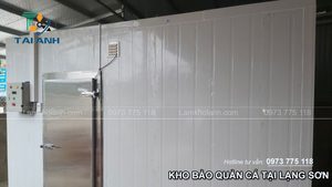 Thi công và lắp đặt kho lạnh bảo quản cá tại Lạng Sơn