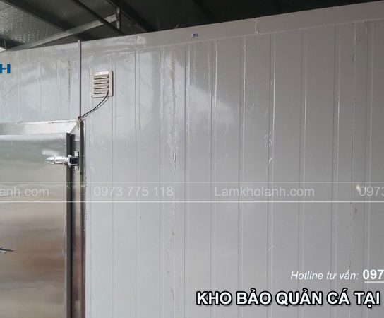 Thi công và lắp đặt kho lạnh bảo quản cá tại Lạng Sơn