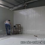 Thi công và lắp đặt kho lạnh bảo quản cá uy tín tại Hải Phòng