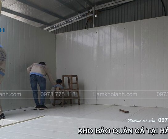 Thi công và lắp đặt kho lạnh bảo quản cá uy tín tại Hải Phòng